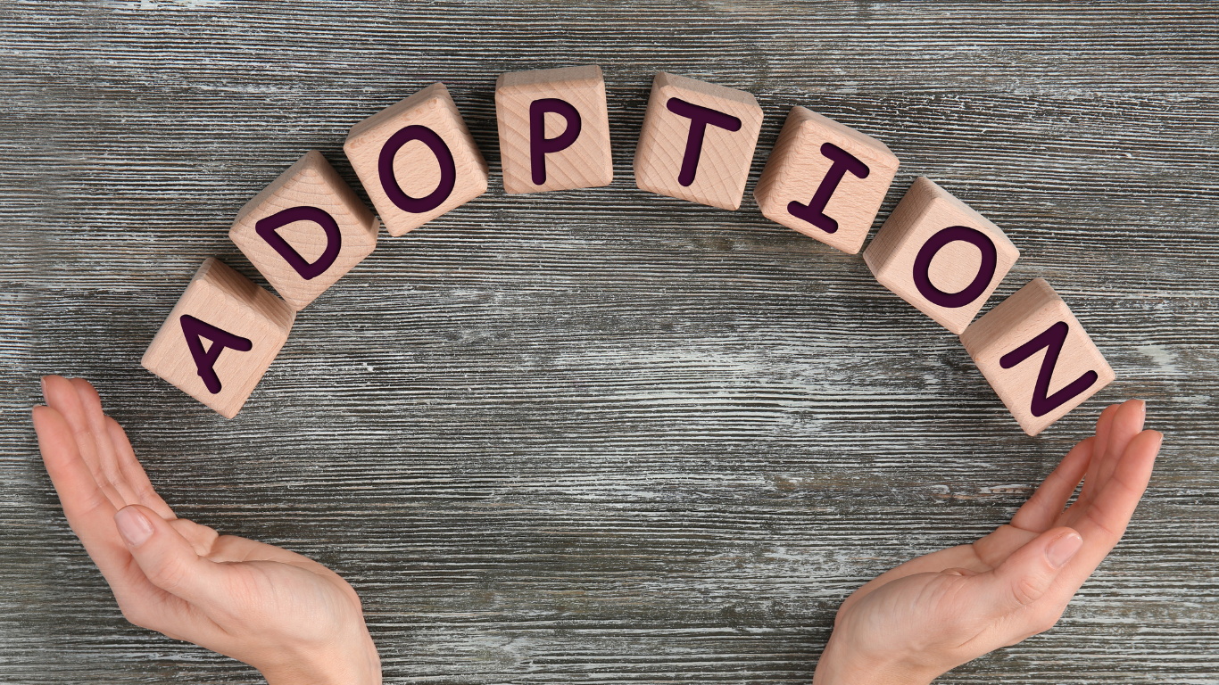 adoption procedure in india
